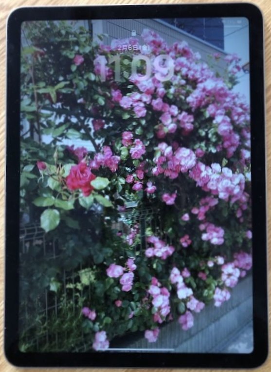 ipad 11�C���`